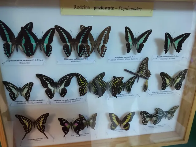 Wystawa żywych zwierząt tropikalnych