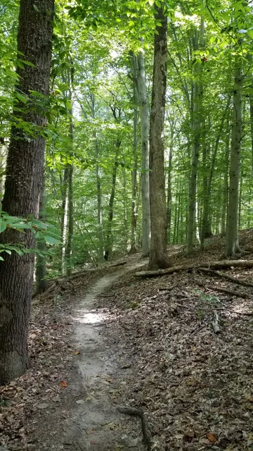 Rosaryville State Park