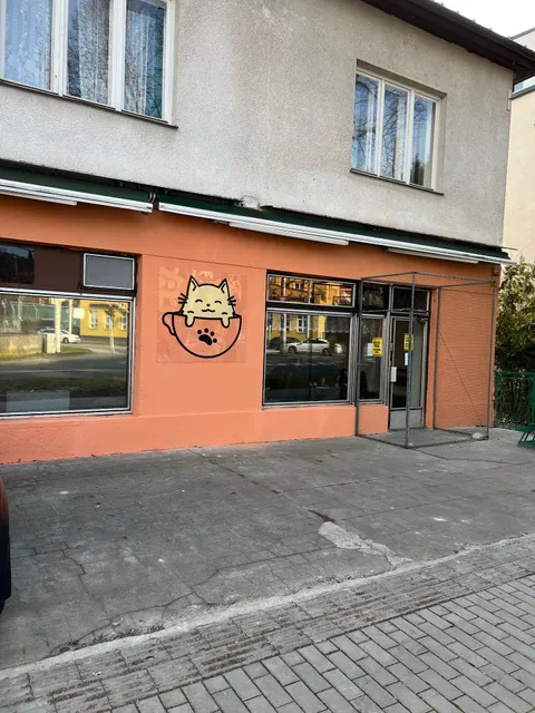 Kočičí Ráj - adopční kavárna