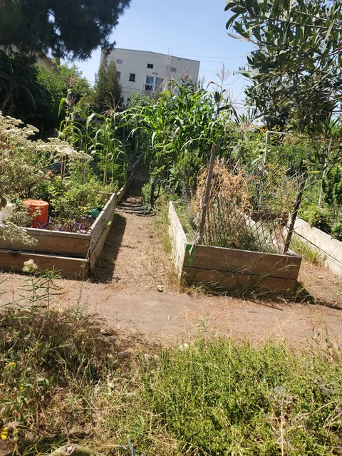 Fountain Community Gardens