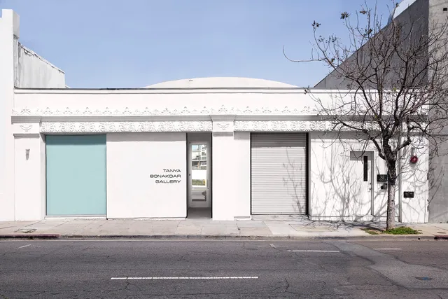 Tanya Bonakdar Gallery