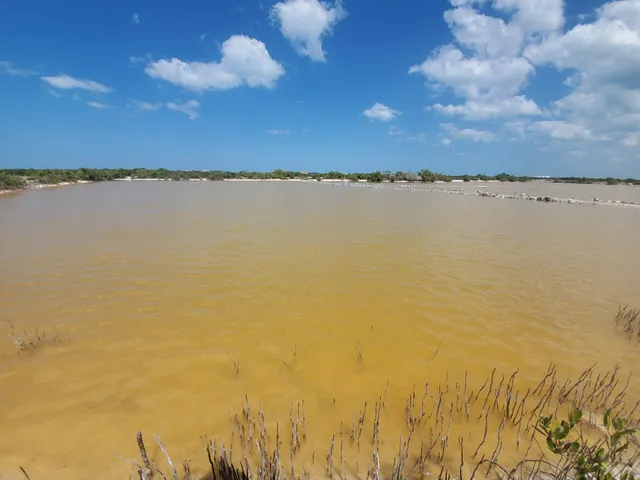 "Meya'h Ta'ab" Charcas Rosas - Pink Lake