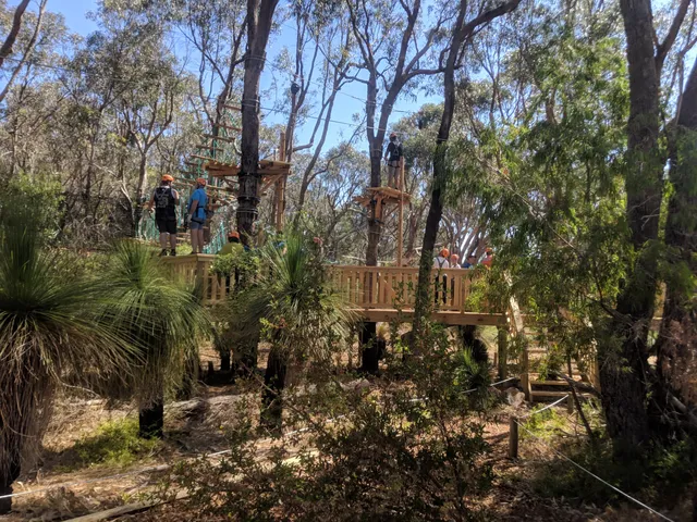 Treetops Adventure Yanchep