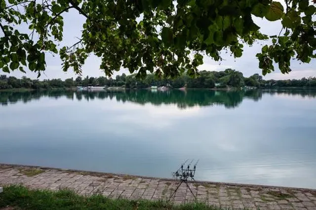 Bela Crkva Municipality