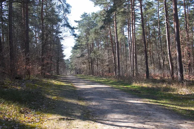 Geoerlebnispfad Bewegte Steine