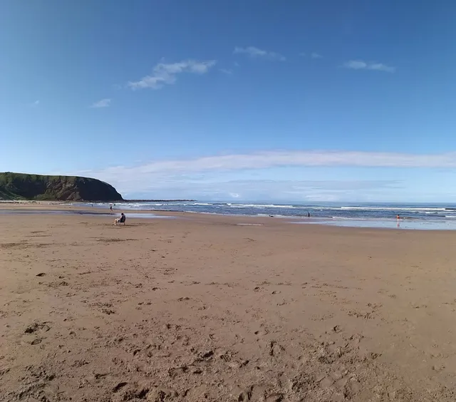 Pease Dean Scottish Wildlife Trust