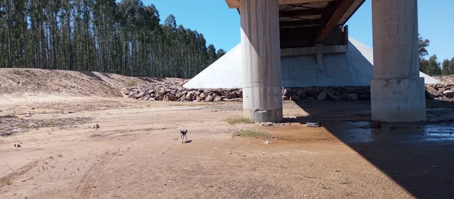 Picada de Oribe (Camino a la Balsa)
