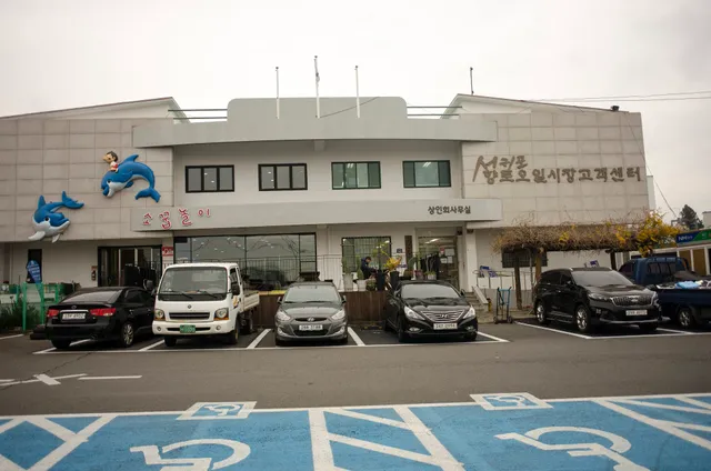 Seogwipo Rural Five-Day Market