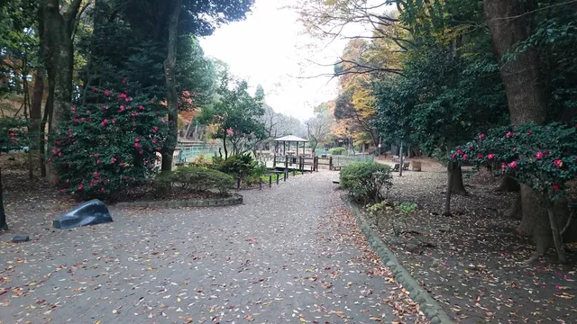 Fujisaki Forest Park