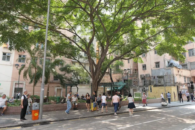 Hamilton Street Rest Garden