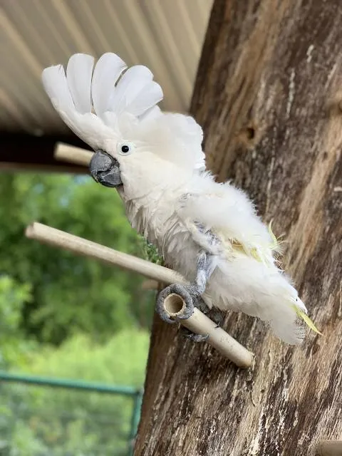 Franklin Drive Thru Safari