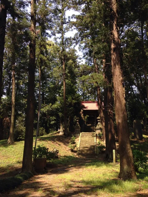 photo-2