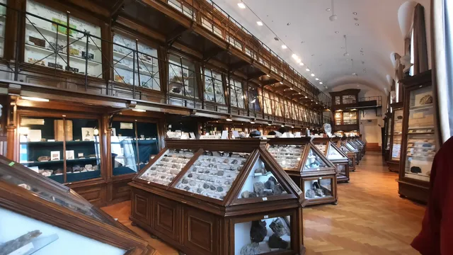 Eötvös Museum of Natural History