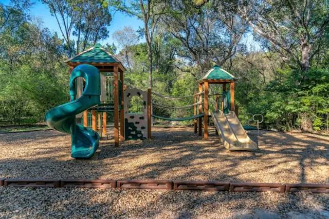 Forest Community Park