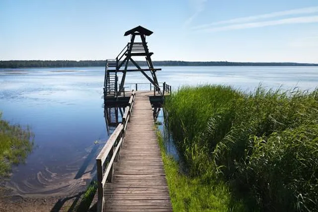 Sheboygan Marsh Tower