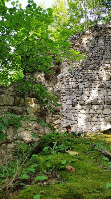 Burgruine Lichtenstein