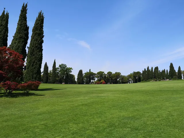 Grande tappeto erboso