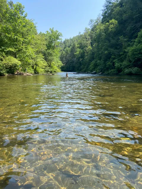Conasauga River Snorkeling Hole