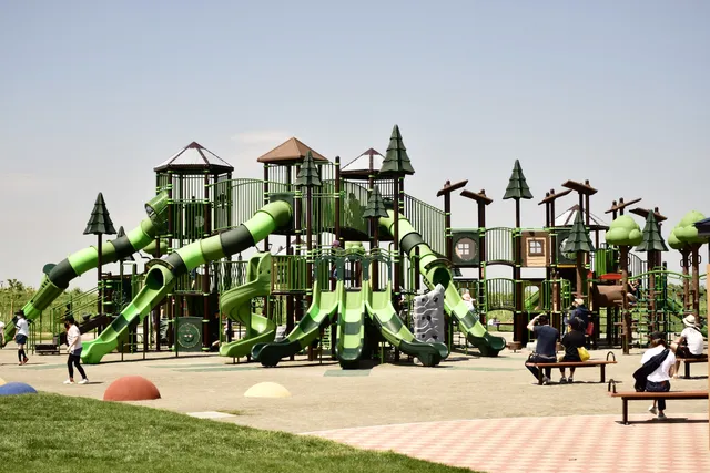 photo-1