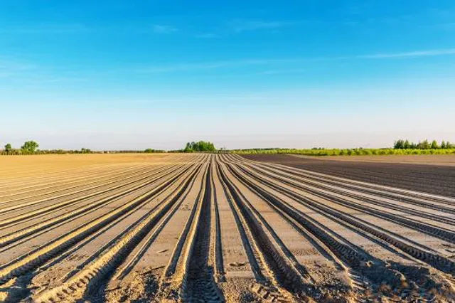 Mangata Jungle & Safari Park