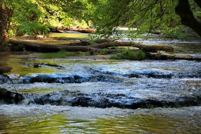 Puszcza Solska Landscape Park