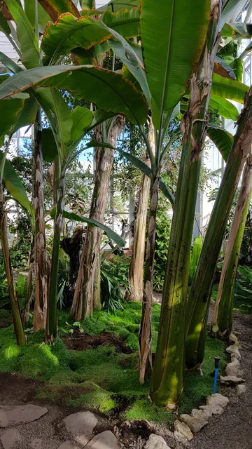 Aguas Antofagasta Botanical Garden