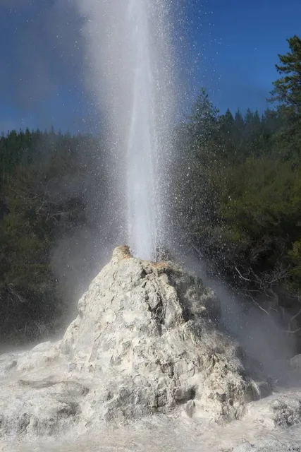 Lady Knox Geyser