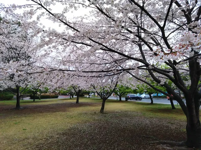 Masuojoshi Total Park
