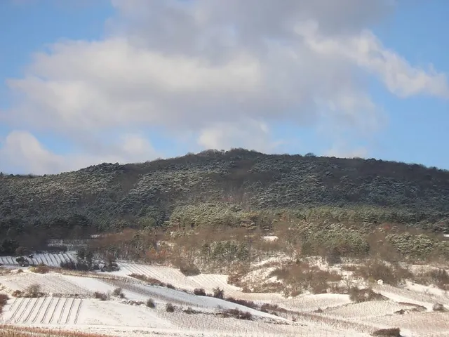 Gemeinde Pfaffstätten