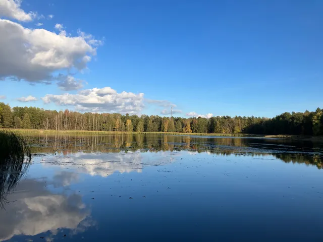 Rezerwat przyrody Wydymacz