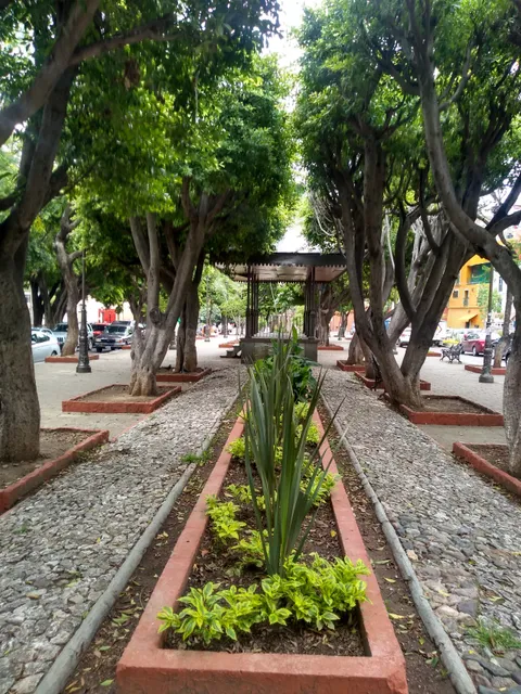 Jardin Embajadoras