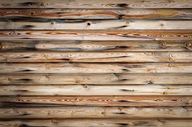 Berceau Saint Vincent de Paul