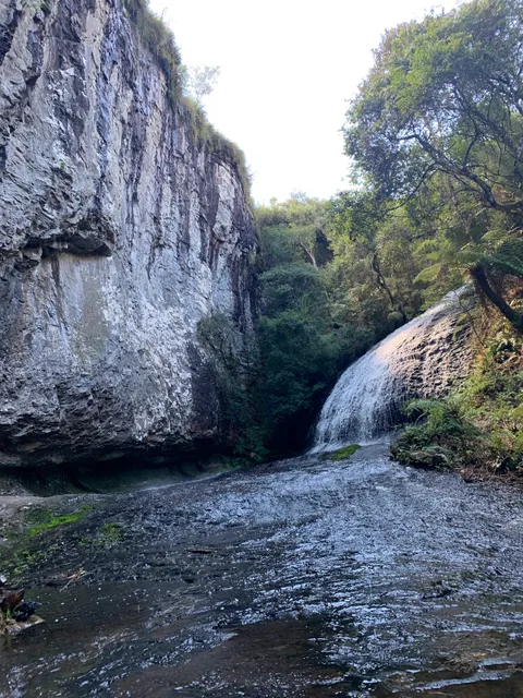 Parque Natural Municipal da Ronda