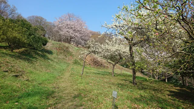 Komachi Green Space