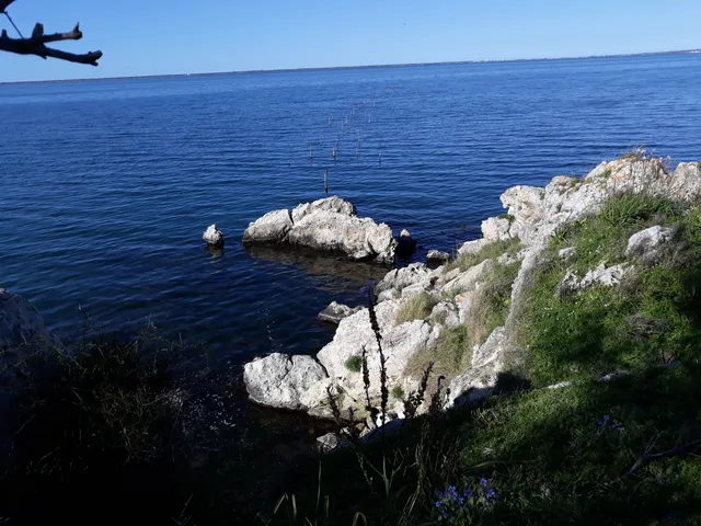 Museo del Territorio e della Cultura Lagunare