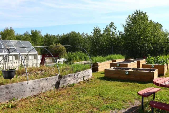 photo-2