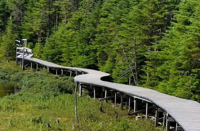 Salmonier Nature Park