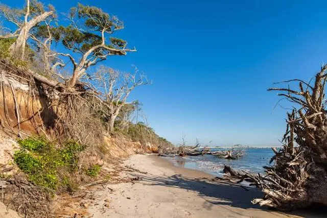 Big Talbot Island State Park