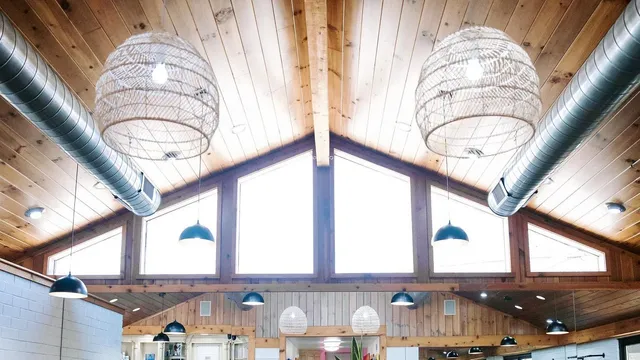 The Studio Collective