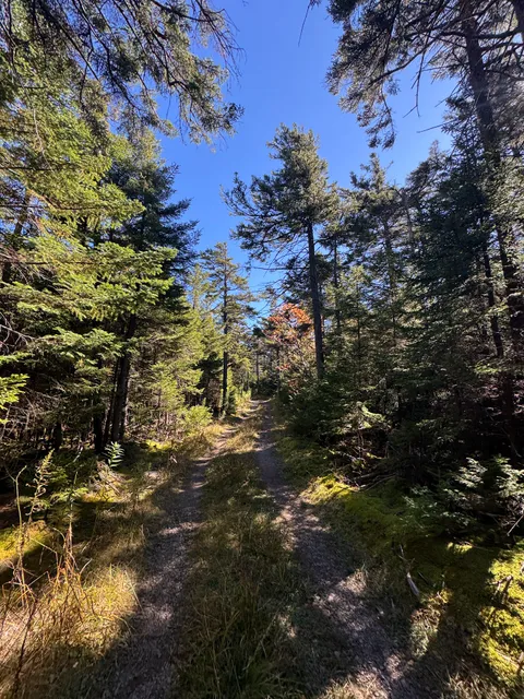 Hunter Mountain Fire Tower