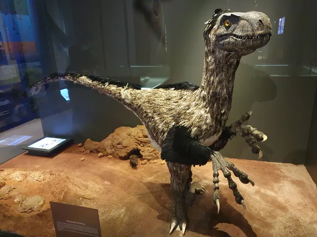 Muséum départemental du Var