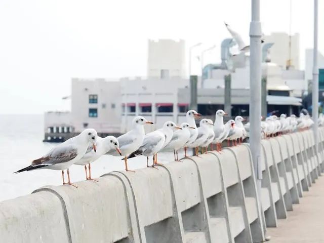 Bang Pu Nature Education Centre