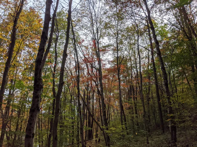 D&L Trail White Haven North Trailhead