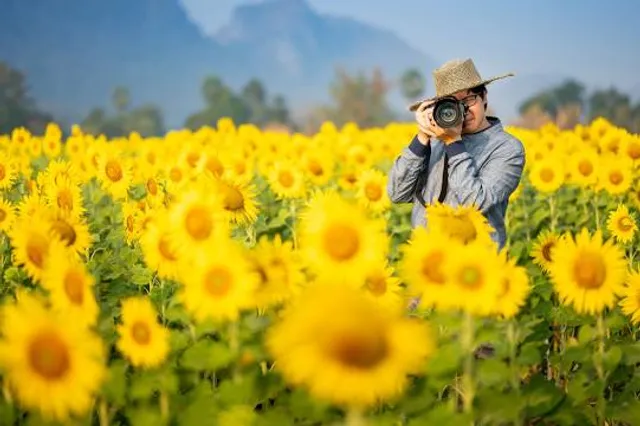 Finca Los Girasoles, Esquipulas