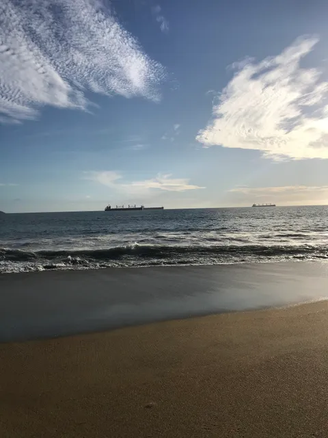 Tortugario Manzanillo