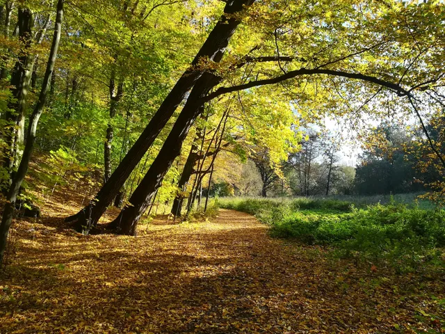 Ujazd-Park (Moyser Park)