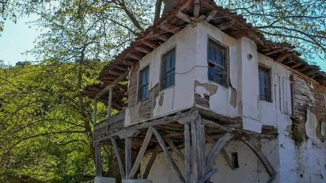 Ecopath "Looking at nine mountains"