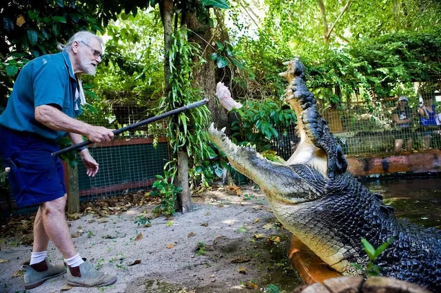 Marineland Melanesia Crocodile Habitat