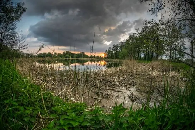 Raszyn Ponds Reserve