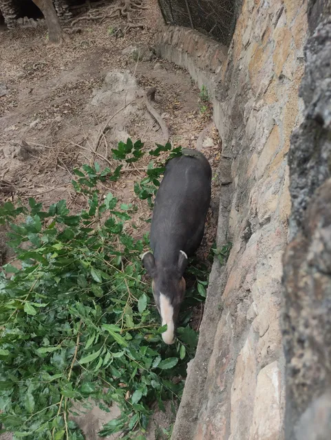 Reserva Ecológica El Zapotal